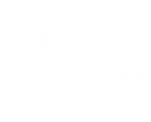 big visions landscaping panache consulting