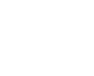 caleb theodros senate district 41 panache consulting