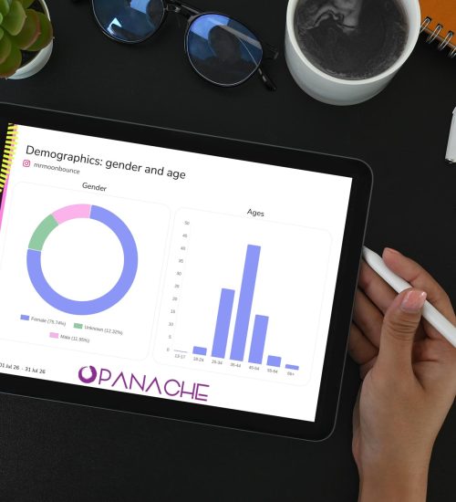 demographics-reporting-agency-clt-nc