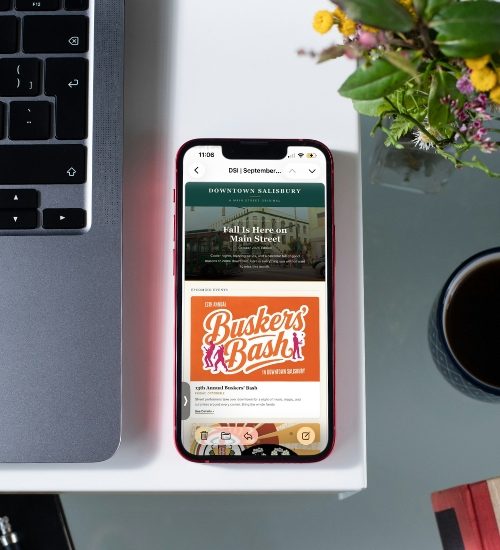 dsi-email-marketing-agency-clt-nc-panache