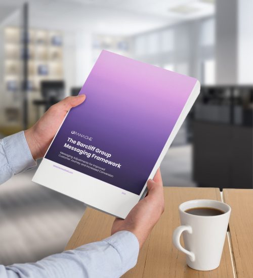 medical-legal-brand-blueprint-panache